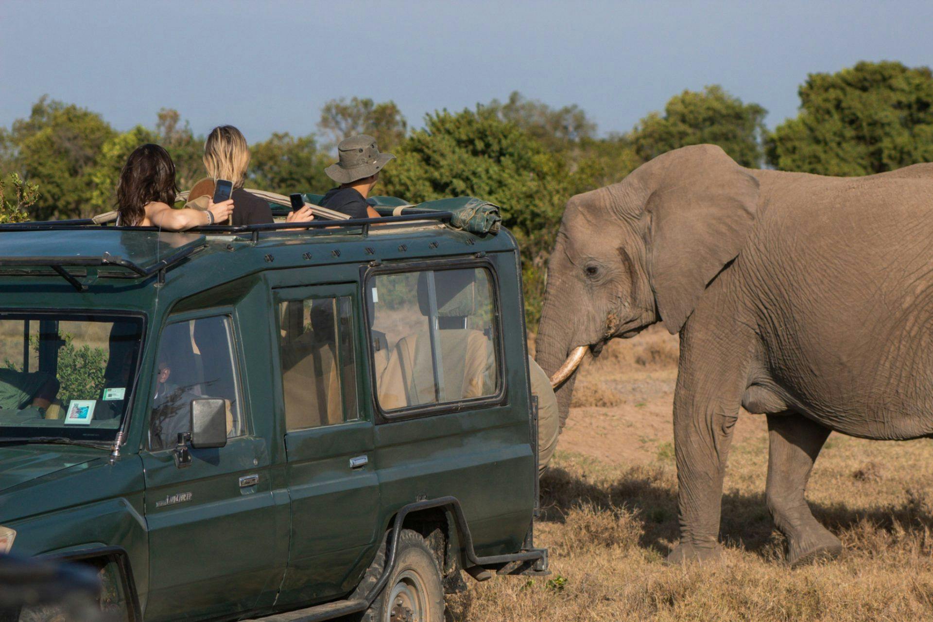 Kenya Safari & Conservation Yoga Retreat