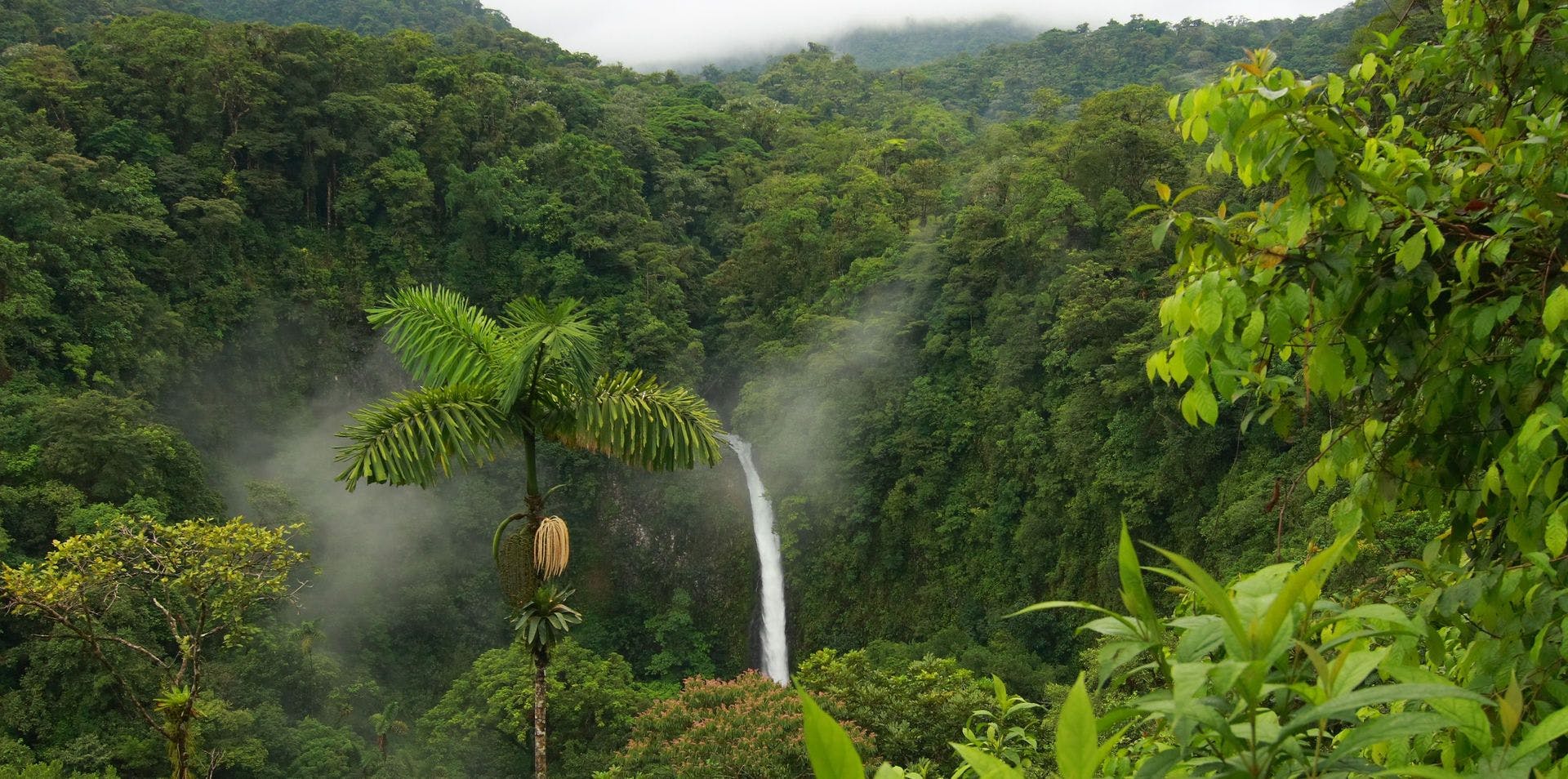 Costa Rica Retreat