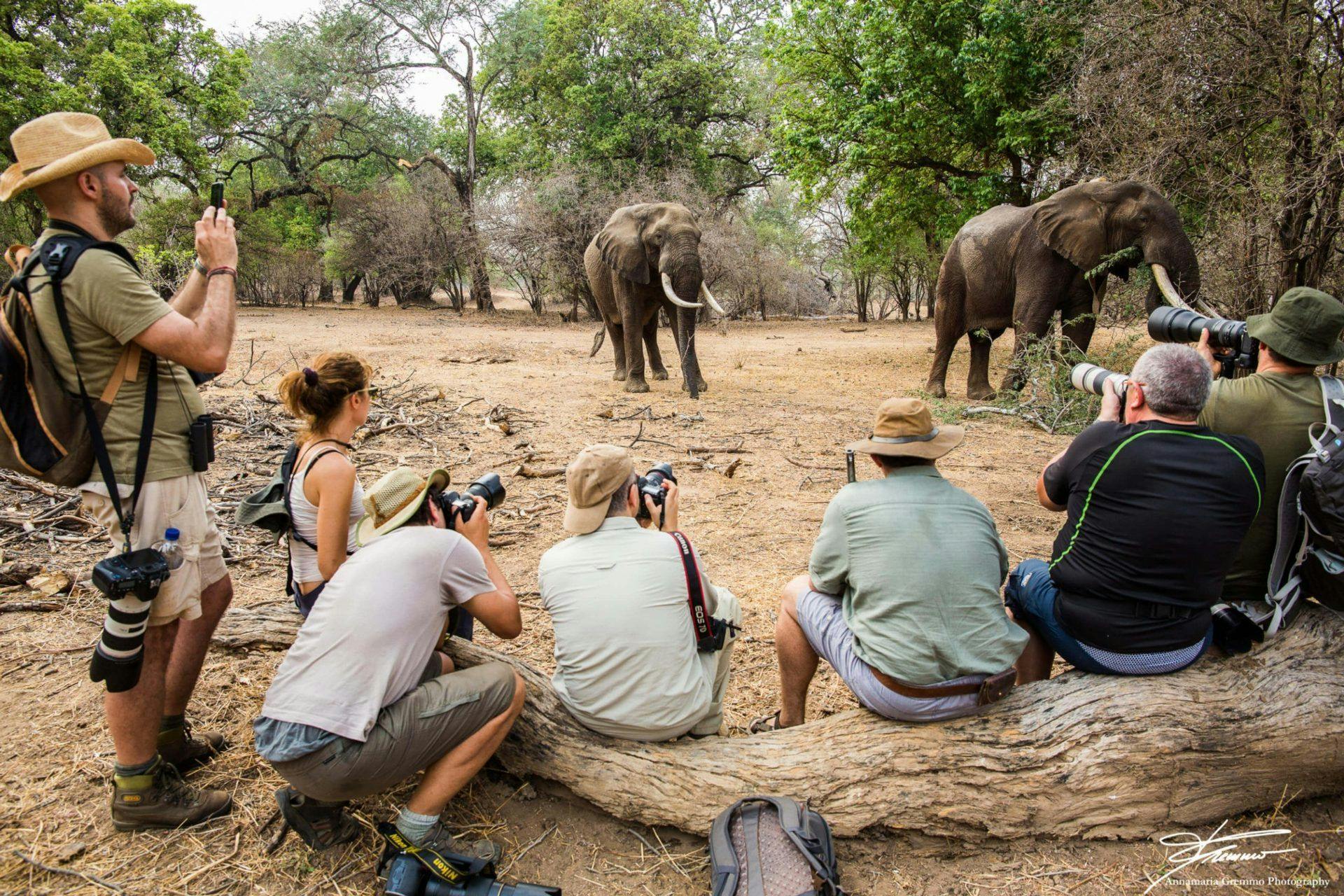 Zimbabwe Safari & Yoga Retreat