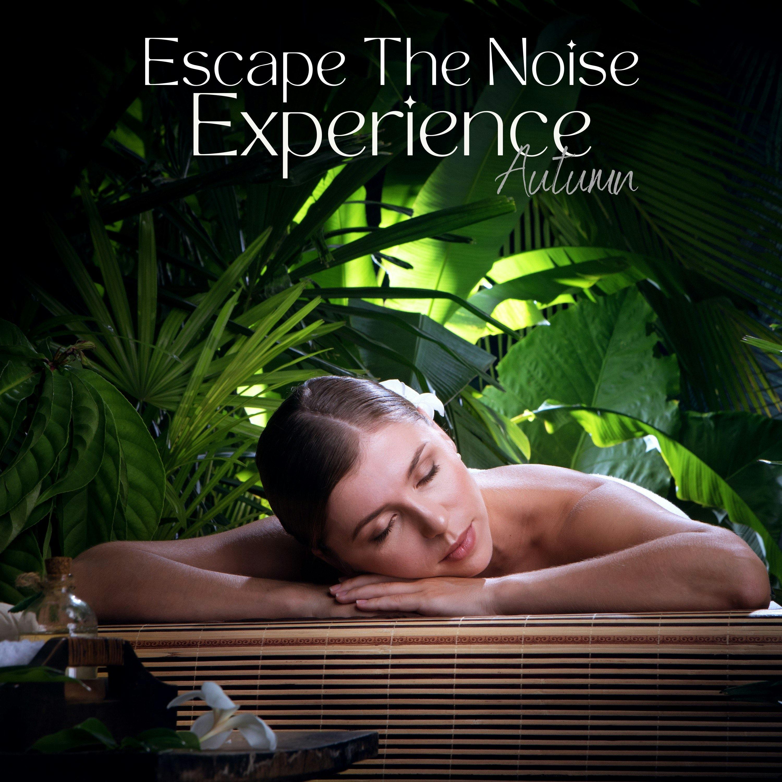 Escape The Noise Experience